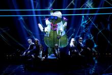 Álarcos énekes, Kaktusz