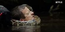 Bear Grylls - Állatok szabadon
