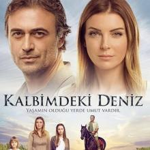 Az érzelmek tengerén