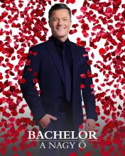 Stohl András, Bachelor - A Nagy Ő, TV2