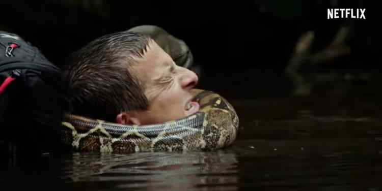 Bear Grylls - Állatok szabadon